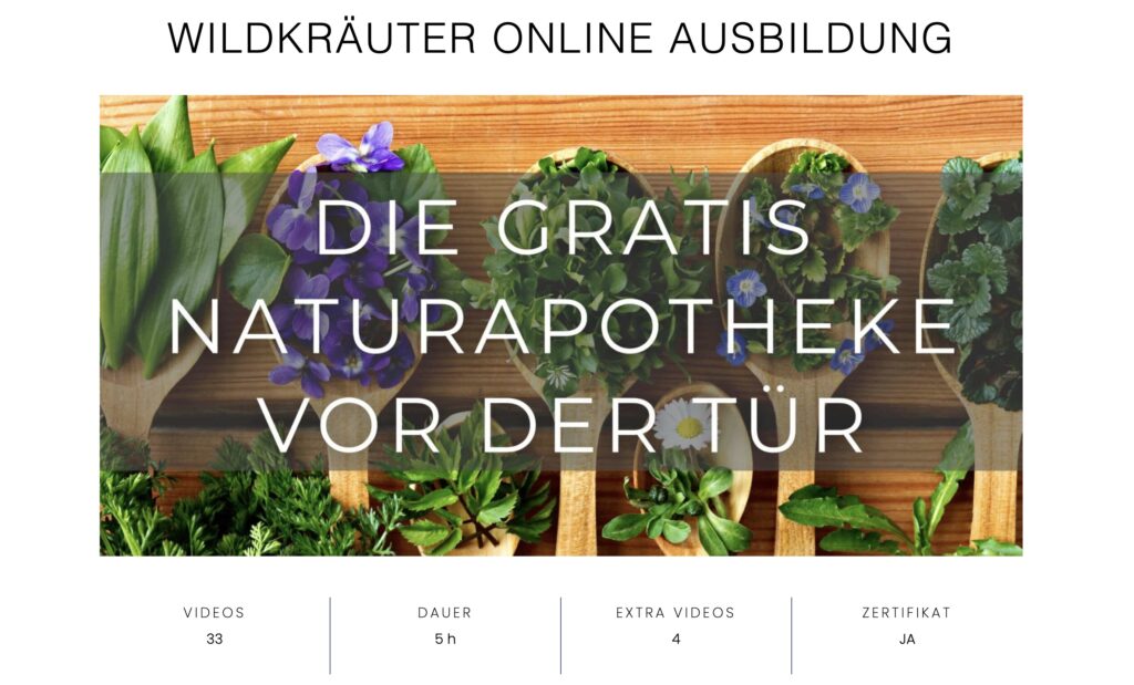 Philip Kunisch - Wildkräuterausbildung
