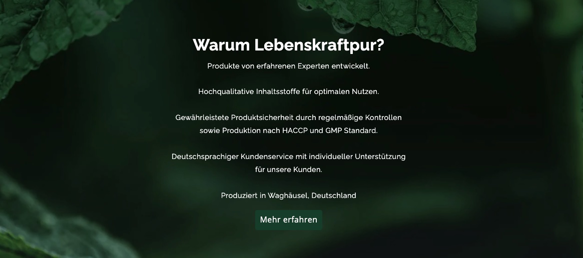 Website Fabian Warum