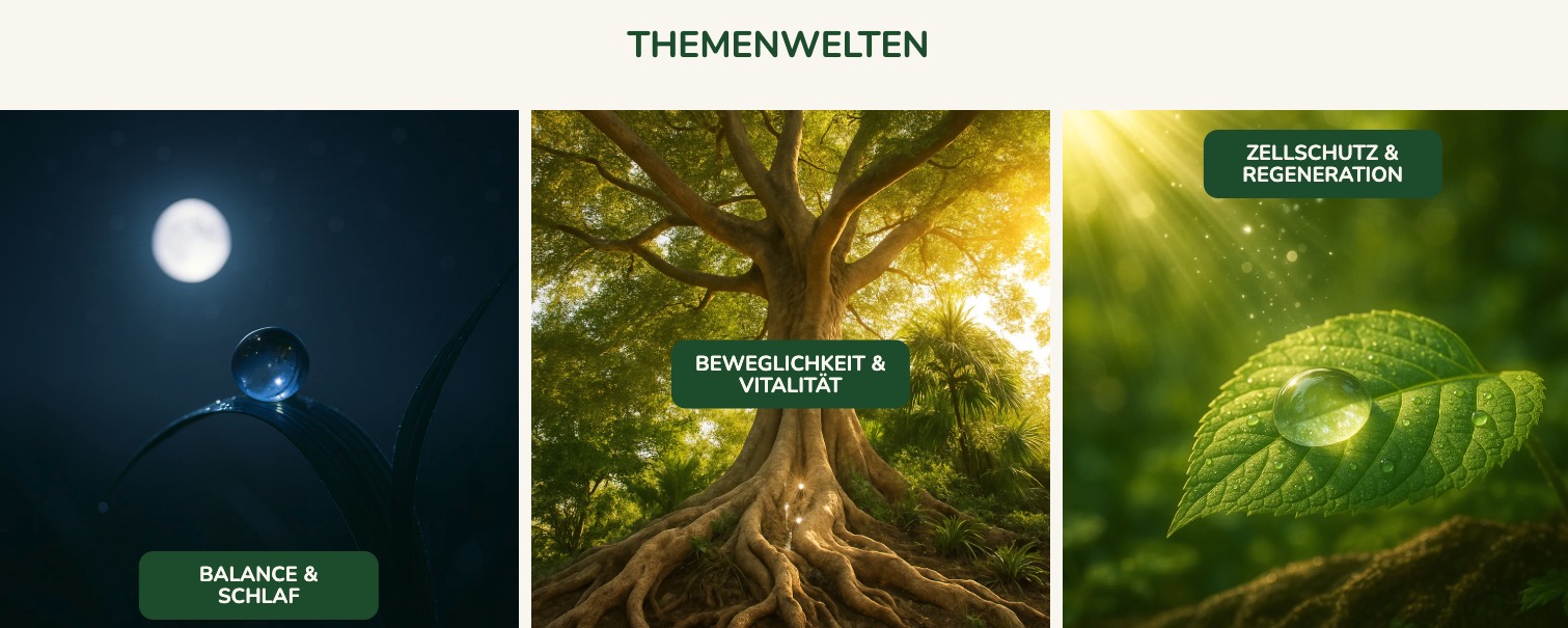 borCAN Website Banner